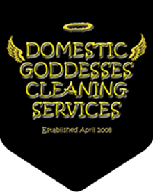 Domestic Goddesses Cleaning Services